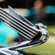 Illustration for article titled Photos from the 13th Annual Castro Valley Car Show